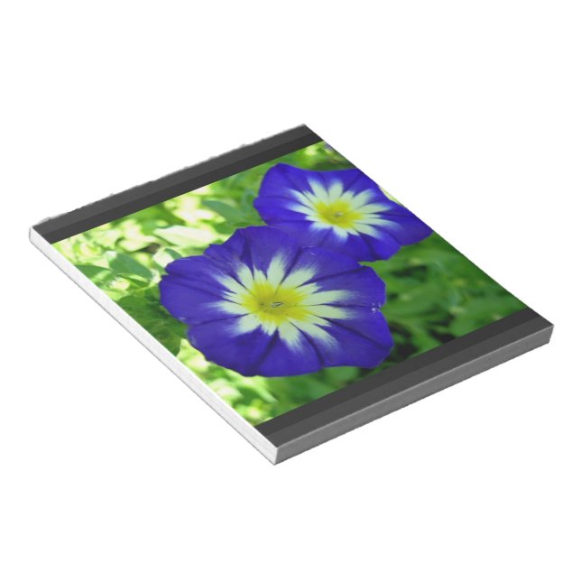 Morning Glory Flower Notepad (Angled)
