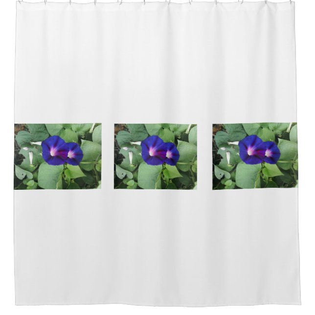 Morning Glory Flower Shower Curtain (Front)