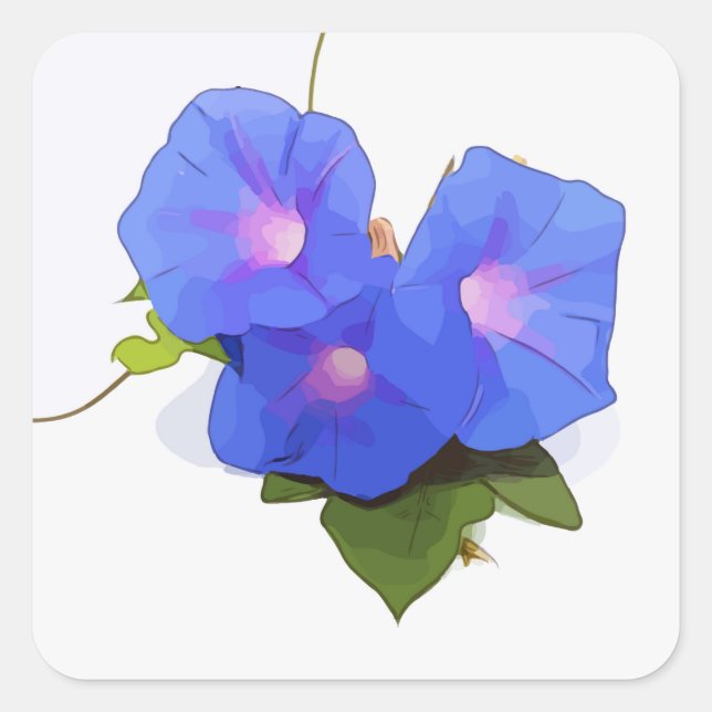 Morning Glory flower Square Sticker (Front)