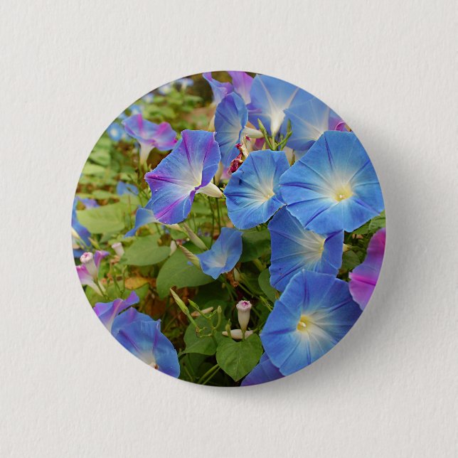 Morning Glory Flowers 2 Inch Round Button (Front)