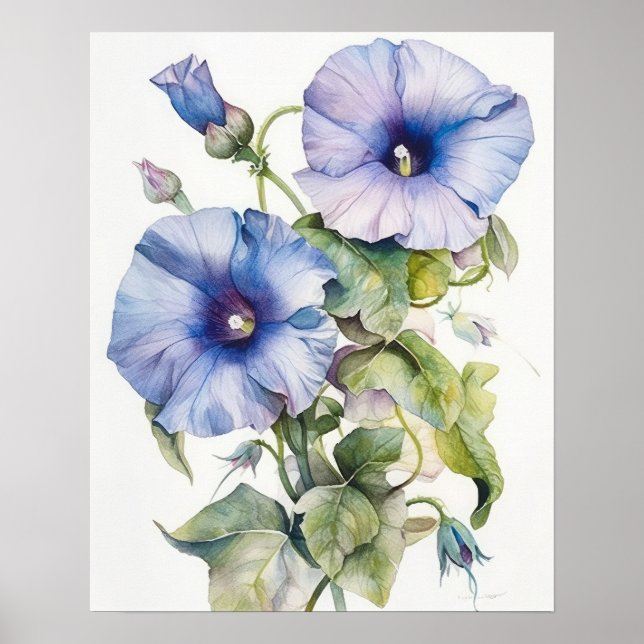 Morning Glory Flowers Art Print Poster (Front)