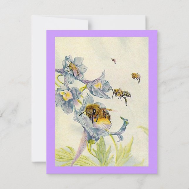 Morning Glory Flowers Bees Birthday Party INVITE (Front)