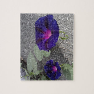 Morning Glory Flowers Jigsaw Puzzle