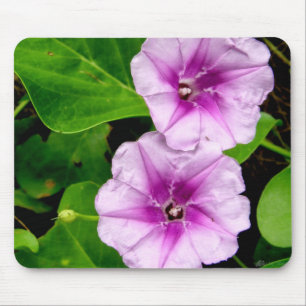 Morning Glory Flowers Mousepad