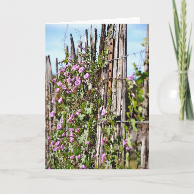 Morning Glory Flowers Scripture Card Hebrews 10:23 (Front)