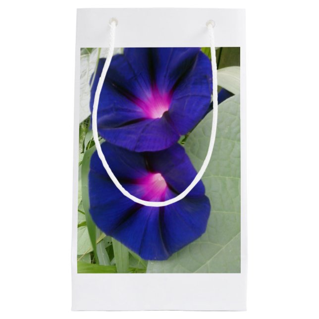 Morning Glory Gift Bag (Front)