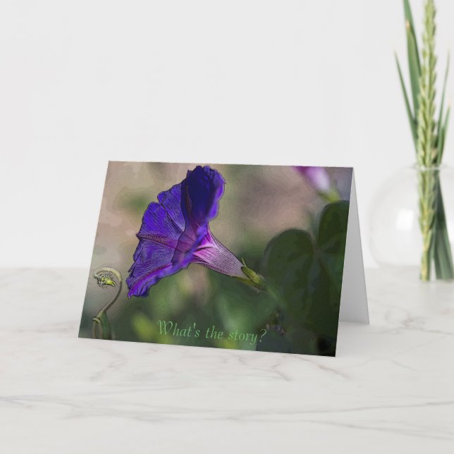 Morning Glory Greeting Card Any Occasion (Front)