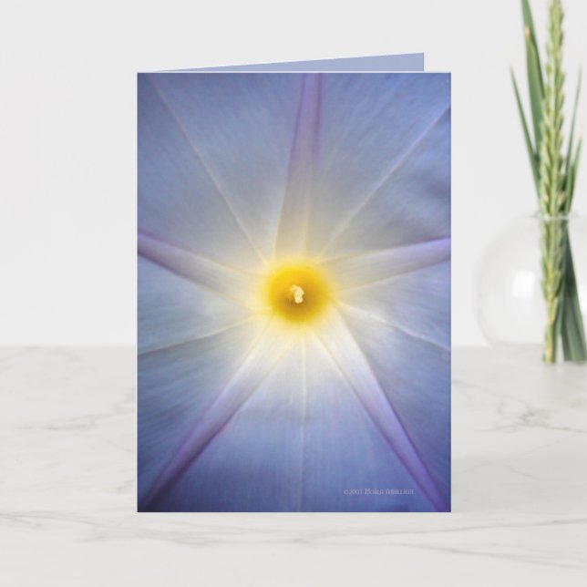 Morning Glory Heart Card (Front)