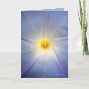 Morning Glory Heart Card