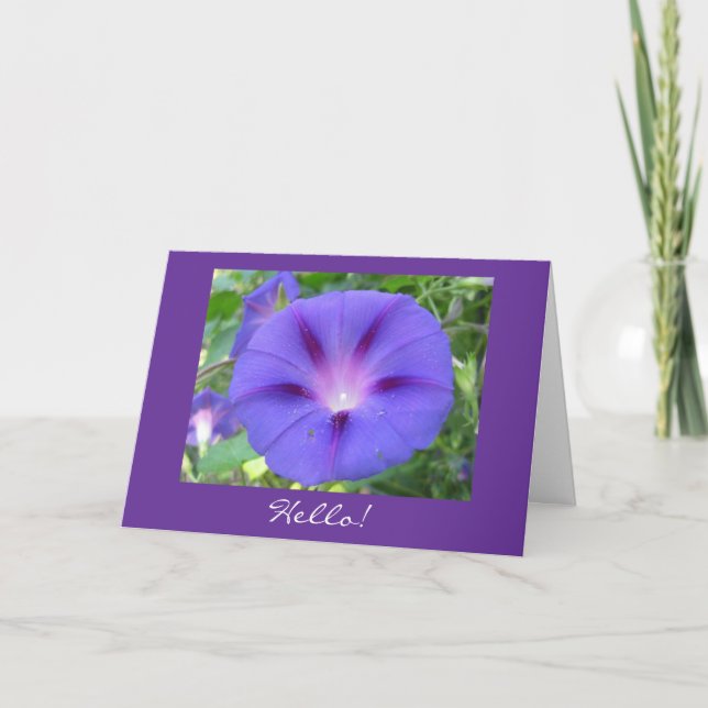 Morning Glory Hello! Card (Front)