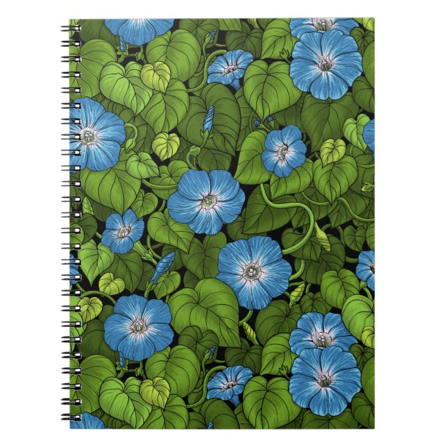 Morning glory in blue and green notebook (Front)