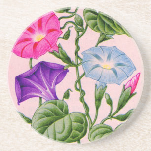 morning glory in blue and pink coaster