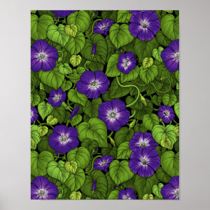 Morning glory in purple and green poster