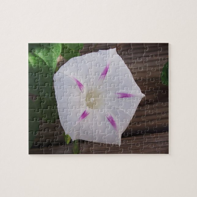 Morning Glory Jigsaw Puzzle (Horizontal)