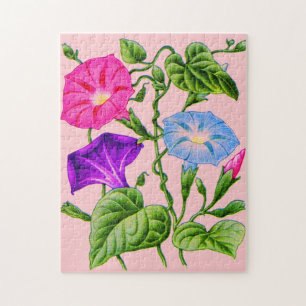 morning glory jigsaw puzzle