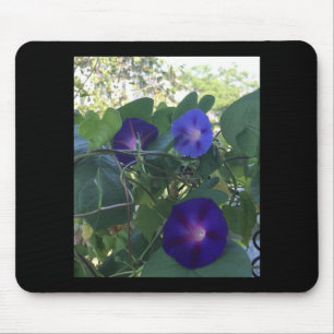 Morning Glory Kaleidoscope Mouse Pad