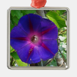 Morning Glory Metal Ornament