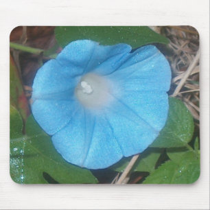 Morning Glory Mouse Pad