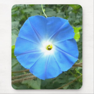 Morning Glory Mousepad