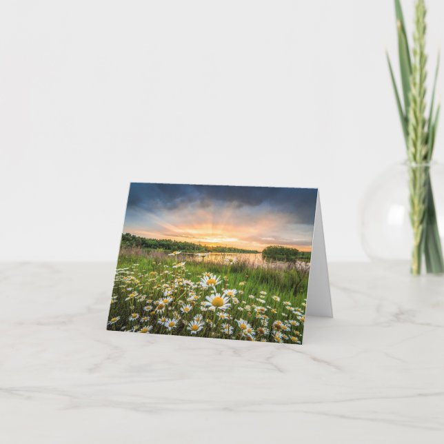 Morning Glory Note Card (Front)