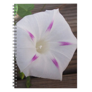 Morning Glory Notebook