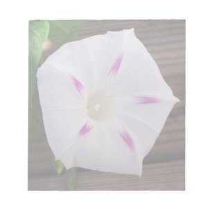 Morning Glory Notepad