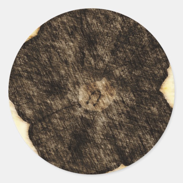 Morning Glory Old Time Sketch Classic Round Sticker (Front)