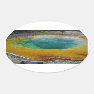 Morning Glory Pool Oval Stickers