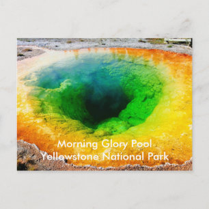 Morning Glory Pool Postcards