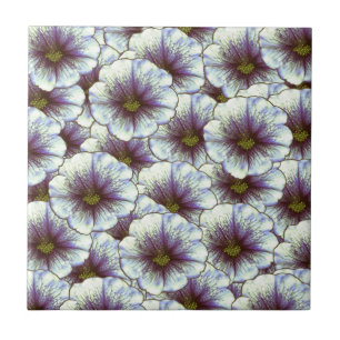 Morning Glory Purple and White Tile