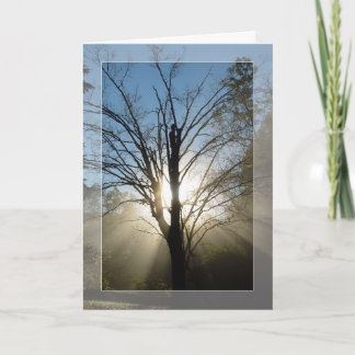 "Morning Glory" Solstice Card