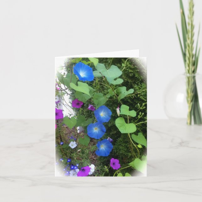 Morning Glory Summer Blooms Blank Greeting Card (Front)