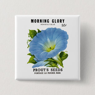 Morning Glory Vintage Seed Packet 2 Inch Square Button