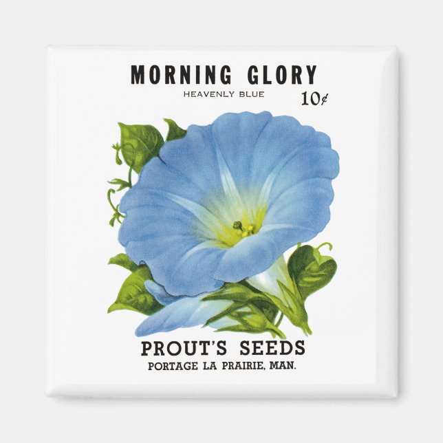 Morning Glory Vintage Seed Packet Magnet (Front)