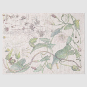 Morning Glory Wildflower Flowers Tissue Paper