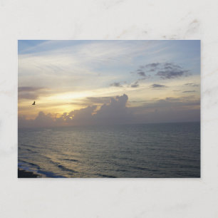 Morning Has Broken Postcard