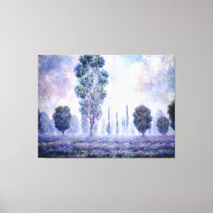 Morning Haze Canvas Print