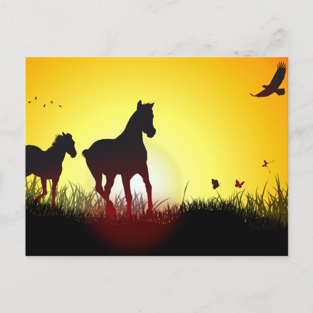 morning horses postcard (Front)