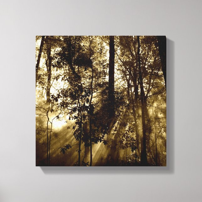 Morning in Forest Canvas Print (Front)