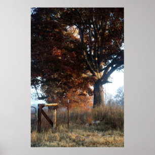 Morning in Tennessee Poster