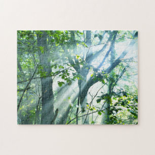 Morning in the Forest Jigsaw Puzzle