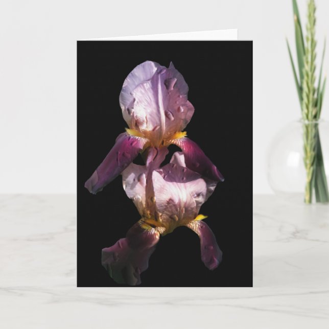 Morning Iris Card (Front)