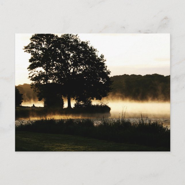Morning Lake Scene pca Postcard (Front)