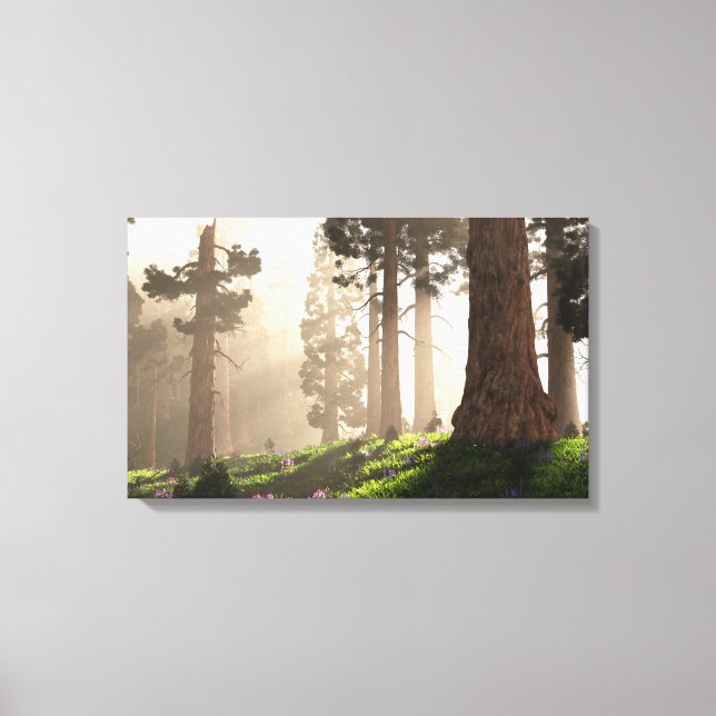 Morning Light (2020) Canvas Print (Front)