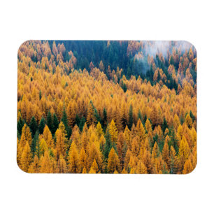 Morning Light at the Beach   Tybee Island Magnet