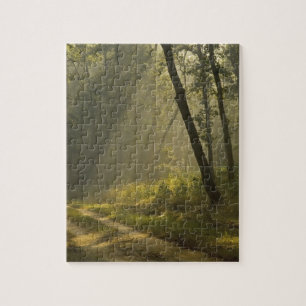 Morning light beams through trees in jungle jigsaw puzzle