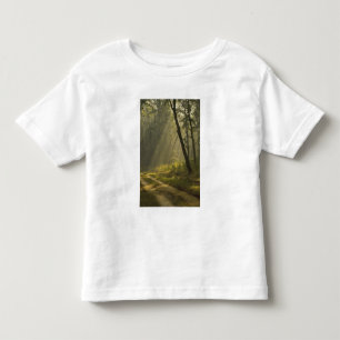 Morning light beams through trees in jungle toddler t-shirt