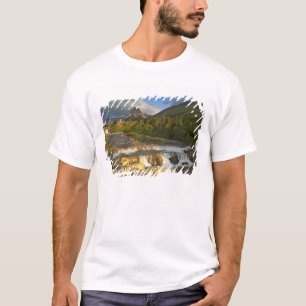 Morning light greets Swiftcurrent Falls in the T-Shirt