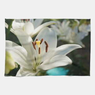 Morning Lily! Kitchen Towel