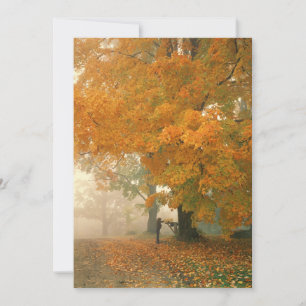 Morning Mail Invitations